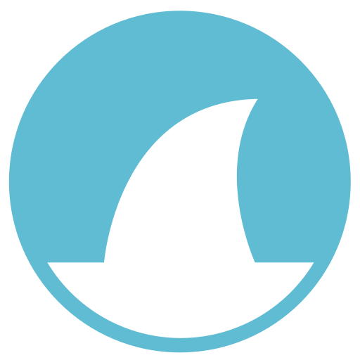 wireshark